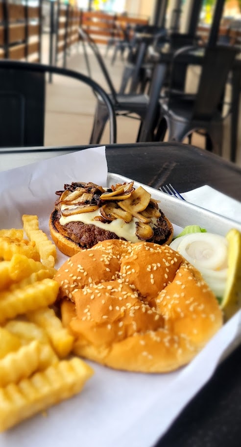 Gourmet burger with caramelized onions and fries